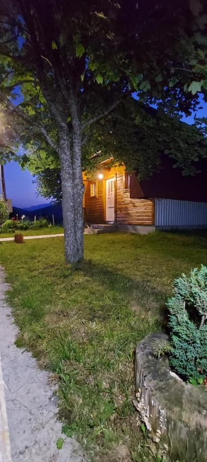 Vila Sarigora Žabljak Exterior foto